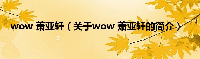 wow 蕭亞軒（關(guān)于wow 蕭亞軒的簡(jiǎn)介）