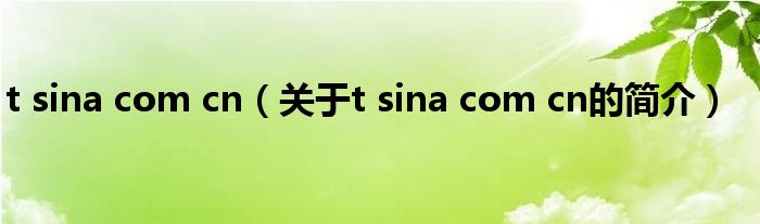 t sina com cn（關于t sina com cn的簡介）