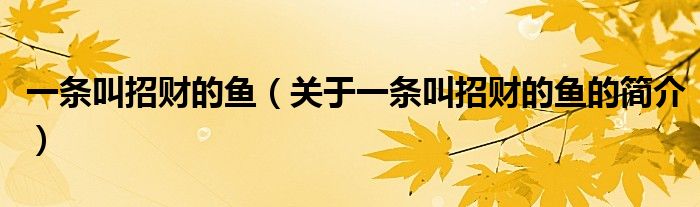 一條叫招財(cái)?shù)聂~(yú)（關(guān)于一條叫招財(cái)?shù)聂~(yú)的簡(jiǎn)介）