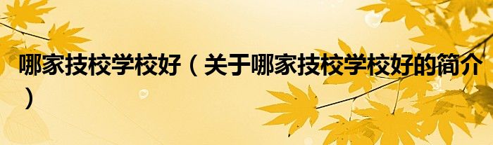 哪家技校學校好（關(guān)于哪家技校學校好的簡介）