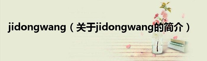 jidongwang（關(guān)于jidongwang的簡(jiǎn)介）