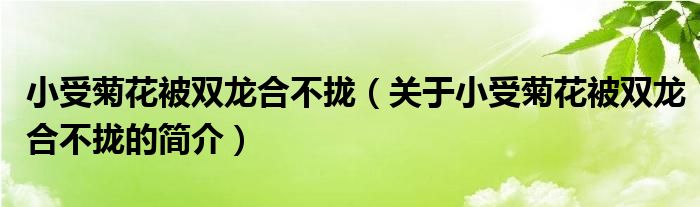 小受菊花被雙龍合不攏（關于小受菊花被雙龍合不攏的簡介）