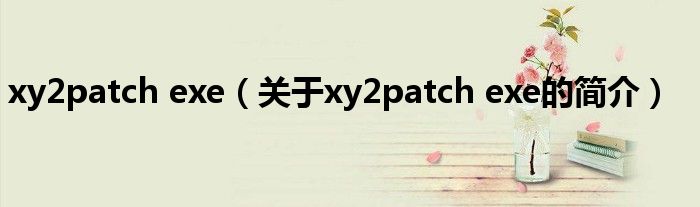 xy2patch exe（關(guān)于xy2patch exe的簡(jiǎn)介）