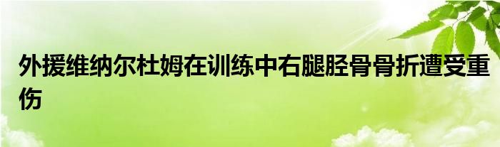 外援維納爾杜姆在訓(xùn)練中右腿脛骨骨折遭受重傷