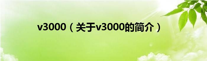 v3000（關(guān)于v3000的簡(jiǎn)介）