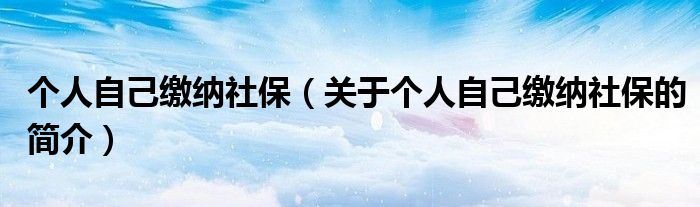 個(gè)人自己繳納社保（關(guān)于個(gè)人自己繳納社保的簡(jiǎn)介）