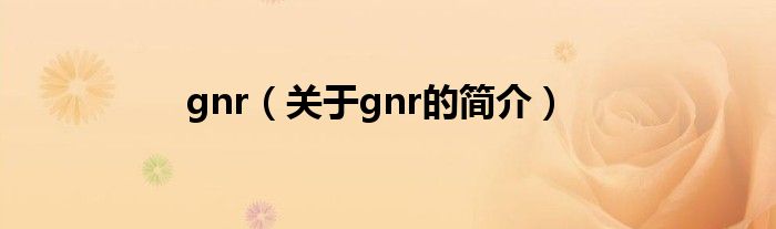 gnr（關(guān)于gnr的簡(jiǎn)介）