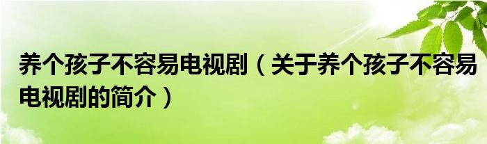 養(yǎng)個(gè)孩子不容易電視?。P(guān)于養(yǎng)個(gè)孩子不容易電視劇的簡(jiǎn)介）