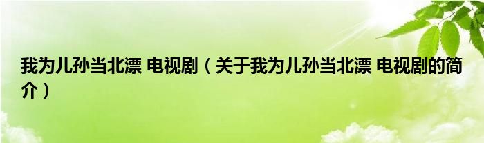 我為兒孫當(dāng)北漂 電視?。P(guān)于我為兒孫當(dāng)北漂 電視劇的簡介）