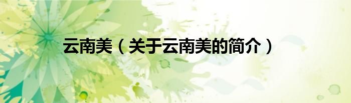 云南美（關于云南美的簡介）