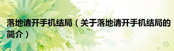 落地請開手機結(jié)局（關(guān)于落地請開手機結(jié)局的簡介）