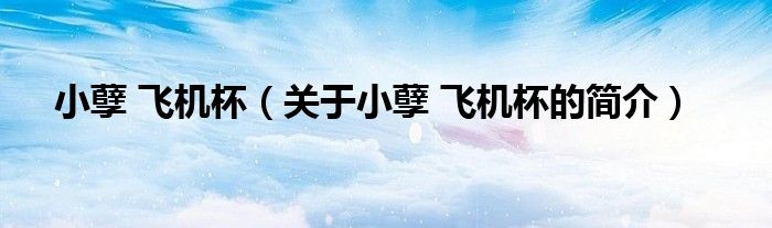 小孽 飛機杯（關(guān)于小孽 飛機杯的簡介）