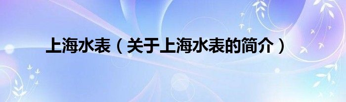 上海水表（關(guān)于上海水表的簡介）