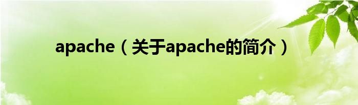 apache（關(guān)于apache的簡介）