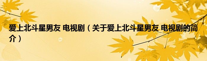 愛上北斗星男友 電視劇（關(guān)于愛上北斗星男友 電視劇的簡介）