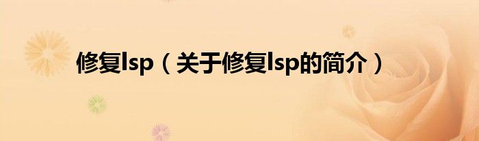 修復lsp（關(guān)于修復lsp的簡介）