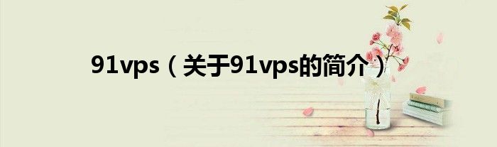 91vps（關(guān)于91vps的簡介）