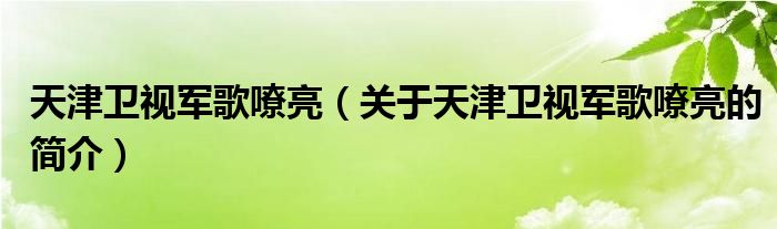 天津衛(wèi)視軍歌嘹亮（關(guān)于天津衛(wèi)視軍歌嘹亮的簡介）