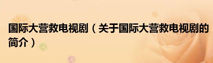 國際大營救電視?。P(guān)于國際大營救電視劇的簡介）