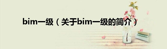 bim一級(jí)（關(guān)于bim一級(jí)的簡(jiǎn)介）