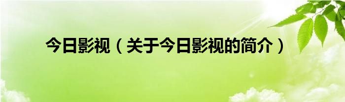 今日影視（關(guān)于今日影視的簡(jiǎn)介）