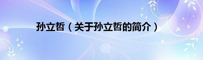 孫立哲（關(guān)于孫立哲的簡(jiǎn)介）