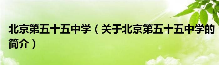 北京第五十五中學(xué)（關(guān)于北京第五十五中學(xué)的簡(jiǎn)介）