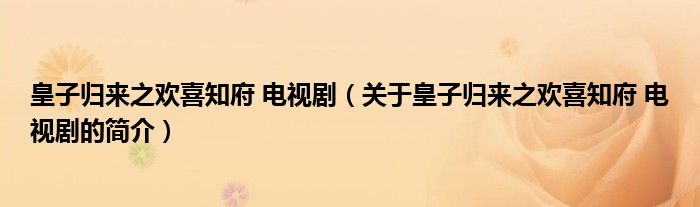 皇子歸來(lái)之歡喜知府 電視?。P(guān)于皇子歸來(lái)之歡喜知府 電視劇的簡(jiǎn)介）