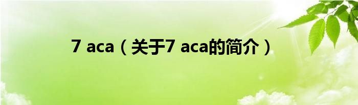 7 aca（關(guān)于7 aca的簡介）