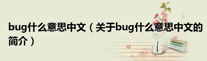 bug什么意思中文（關(guān)于bug什么意思中文的簡介）