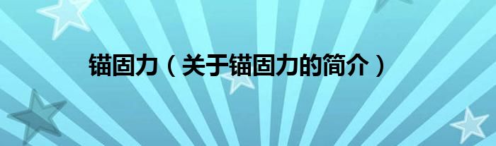 錨固力（關(guān)于錨固力的簡(jiǎn)介）