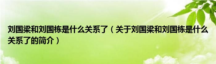 劉國梁和劉國棟是什么關(guān)系了（關(guān)于劉國梁和劉國棟是什么關(guān)系了的簡介）