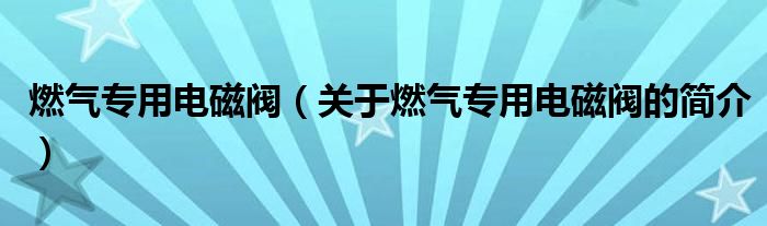 燃氣專用電磁閥（關于燃氣專用電磁閥的簡介）