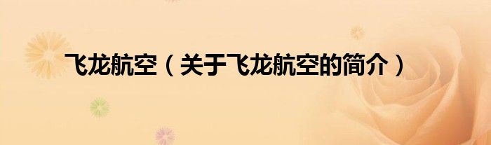 飛龍航空（關(guān)于飛龍航空的簡(jiǎn)介）