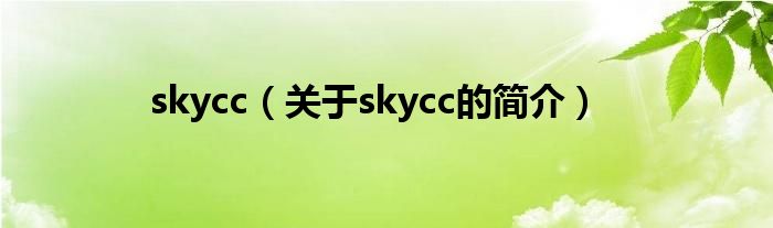 skycc（關于skycc的簡介）