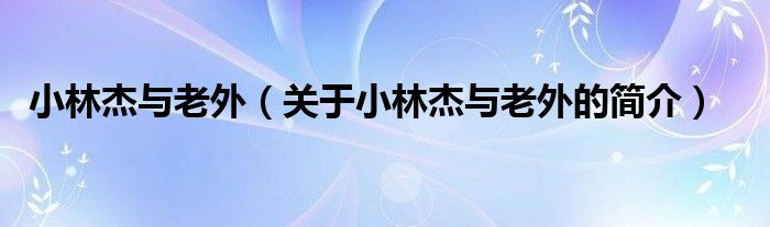 小林杰與老外（關(guān)于小林杰與老外的簡介）