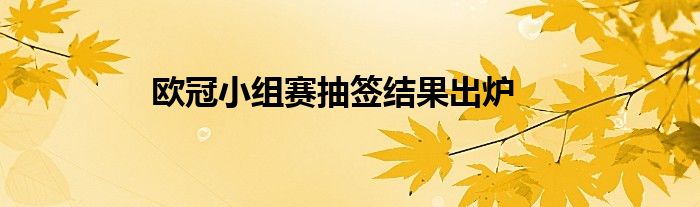 歐冠小組賽抽簽結(jié)果出爐