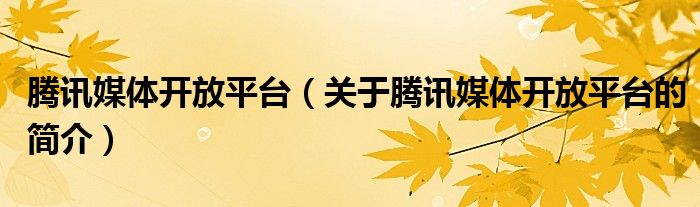 騰訊媒體開放平臺（關(guān)于騰訊媒體開放平臺的簡介）