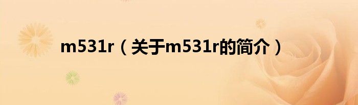 m531r（關(guān)于m531r的簡(jiǎn)介）