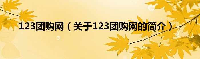 123團購網(wǎng)（關(guān)于123團購網(wǎng)的簡介）