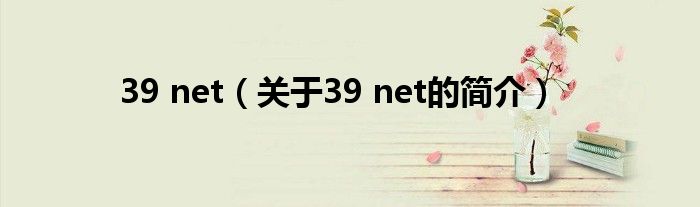 39 net（關(guān)于39 net的簡介）