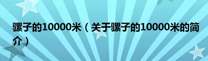 騾子的10000米（關(guān)于騾子的10000米的簡(jiǎn)介）