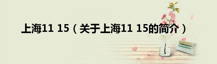 上海11 15（關(guān)于上海11 15的簡(jiǎn)介）