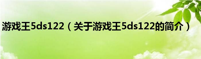 游戲王5ds122（關(guān)于游戲王5ds122的簡(jiǎn)介）