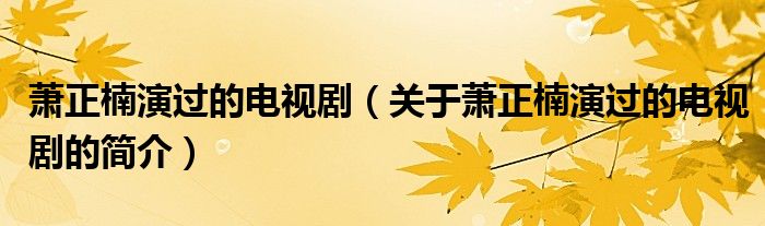 蕭正楠演過的電視?。P(guān)于蕭正楠演過的電視劇的簡介）