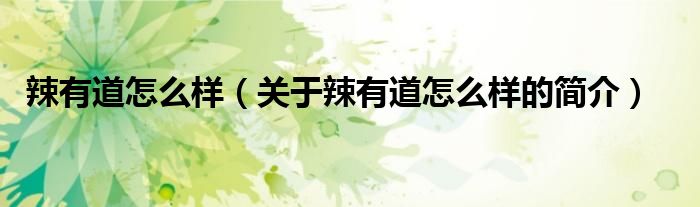 辣有道怎么樣（關(guān)于辣有道怎么樣的簡(jiǎn)介）