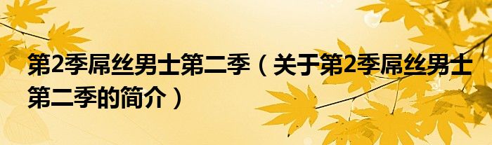 第2季屌絲男士第二季（關(guān)于第2季屌絲男士第二季的簡(jiǎn)介）