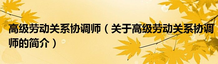 高級勞動關系協(xié)調(diào)師（關于高級勞動關系協(xié)調(diào)師的簡介）