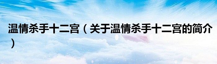 溫情殺手十二宮（關于溫情殺手十二宮的簡介）