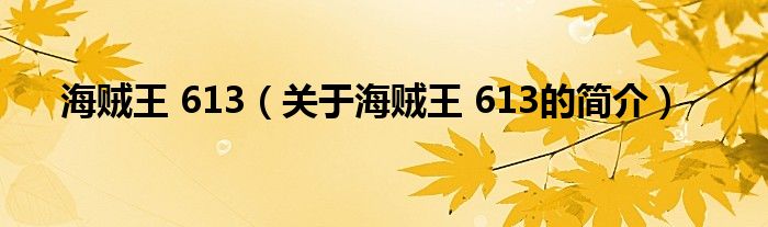 海賊王 613（關(guān)于海賊王 613的簡(jiǎn)介）